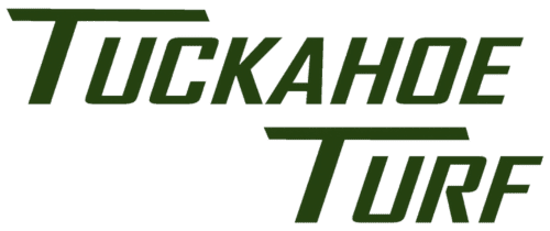 logo (500 × 243 px) (500 × 210 px)